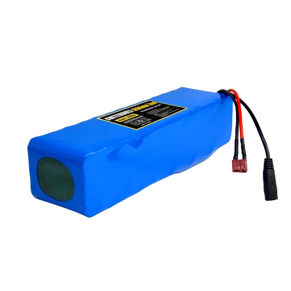 Aleaivy 48V 20Ah E - Bike Battery Pack – 13S3P 18650 Li - Ion for 1000W Bafang Conversion Kits + Charger - All Service