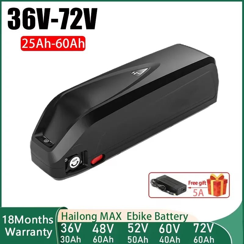Hailong Polly High - Capacity E - Bike Battery – 36V/48V/52V/72V for 500W–2000W Motors - All Service